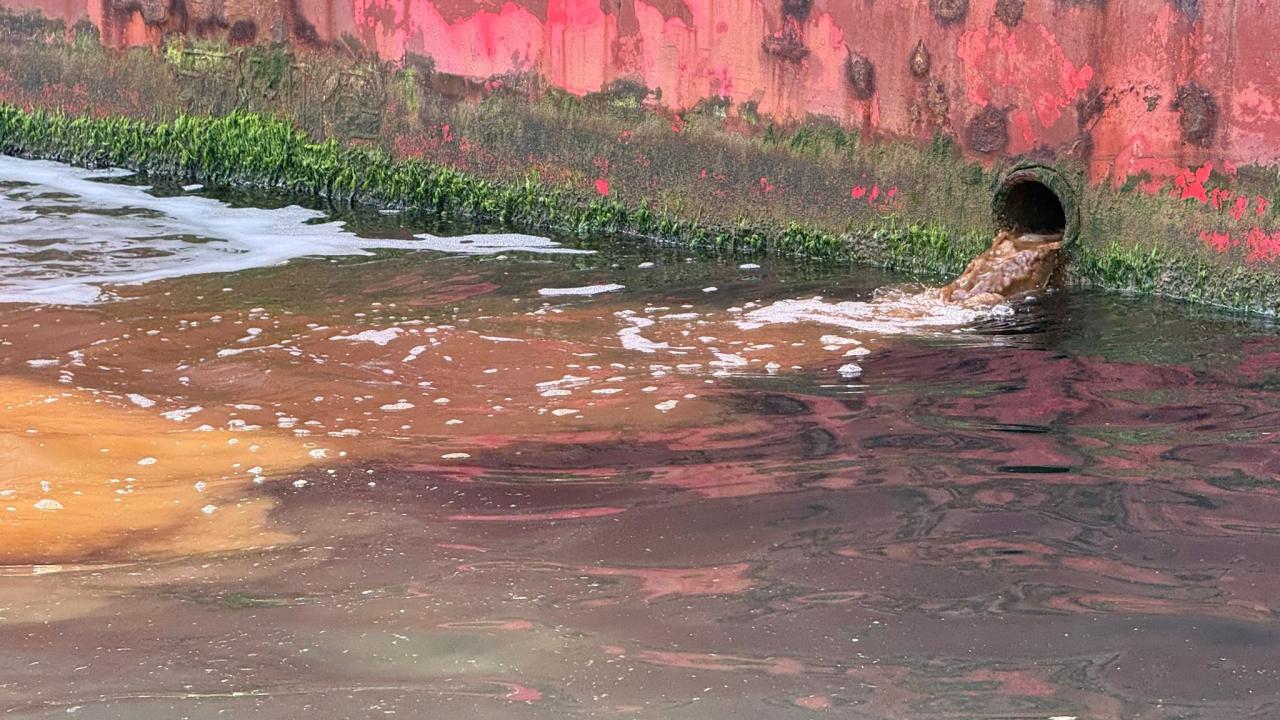 Deniz kirliliğine sıkı denetim: Milyonluk ceza yağdı