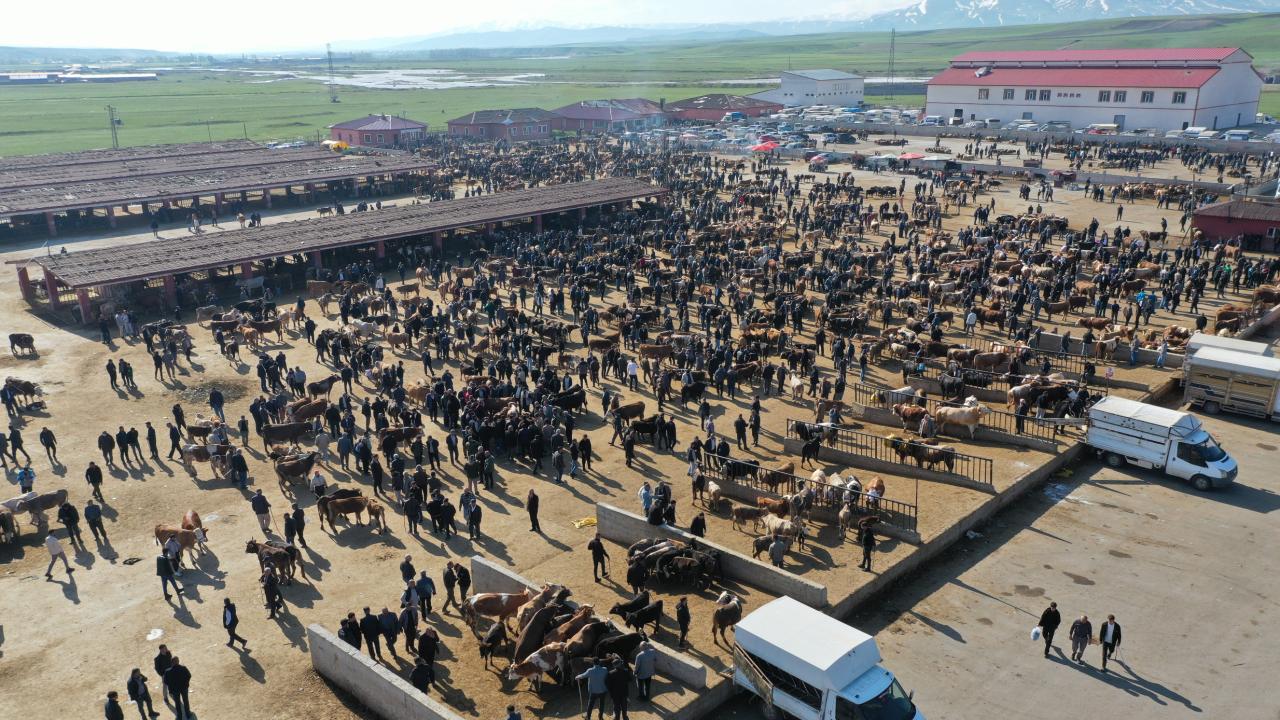 Hayvancılık merkezlerinde bayram hareketliliği arttı