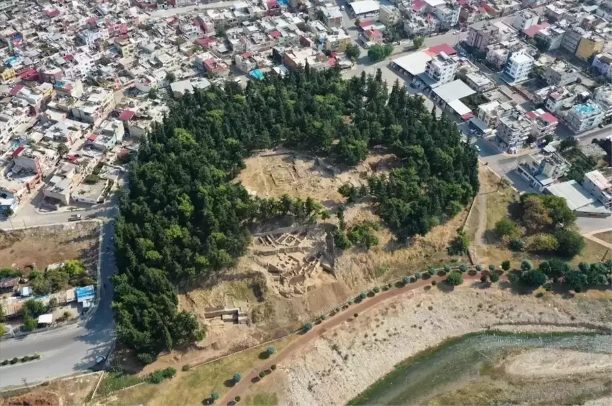 Yumuktepe Höyüğü’nde 9 bin yıllık iki buğday türü ortaya çıktı