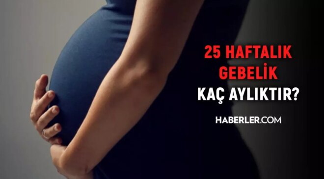 25 haftalık gebelik kaç aylık oluyor? Hamilelikte doğru bilinen yanlışlar!